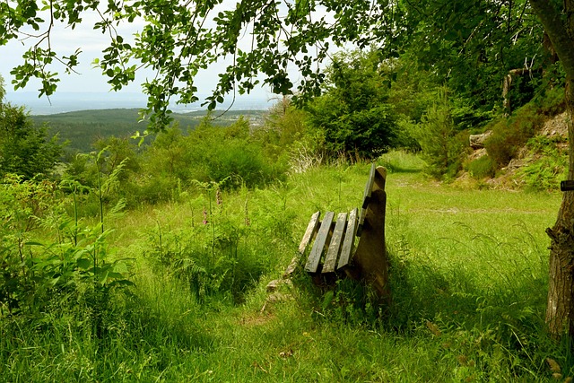 视的硬实力 视的硬实力