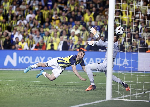 偶然與必然 偶然與必然