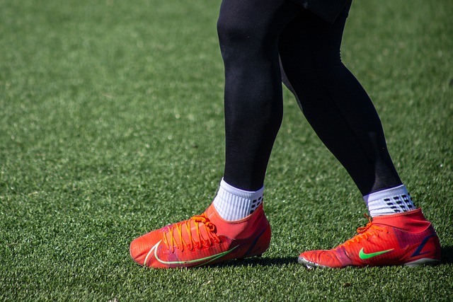 交由宪法法 交由宪法法