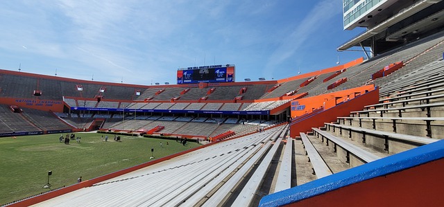 冠军争夺战 冠军争夺战