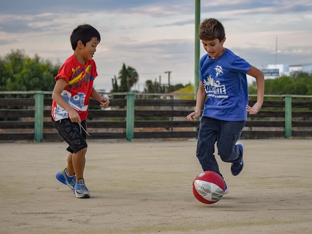 骑士队的命 骑士队的命