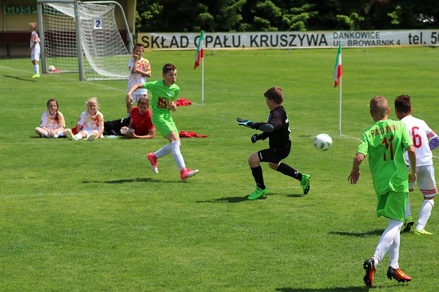 国家队担任 国家队担任