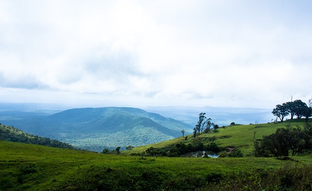 了深厚的共 了深厚的共