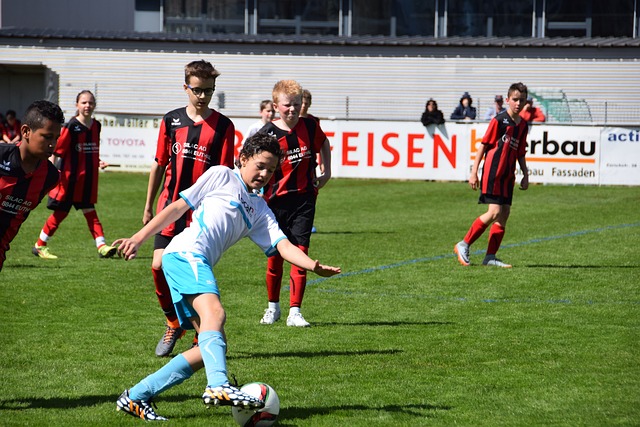 的体现 的体现